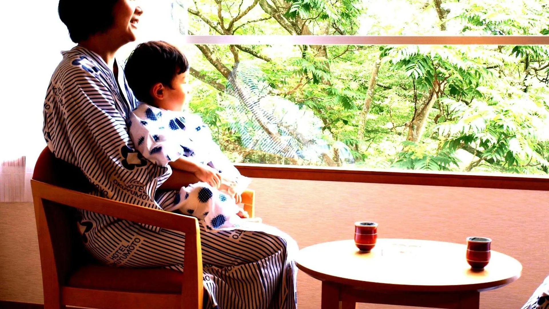 *** Ryokan Hotel Okuyumoto Hakone Japan