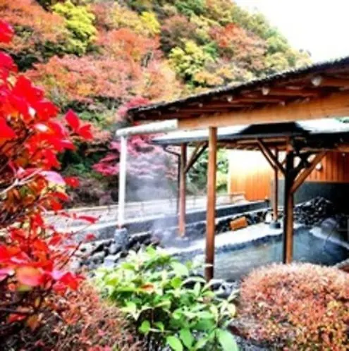 ホテルおくゆもと 箱根町 3*,  日本